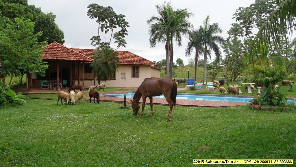 Brasilien 8.-12.10. - zur DiaShow anklicken