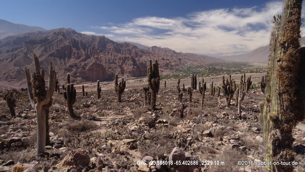 slideshow image